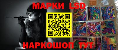 гидропоника Дубна