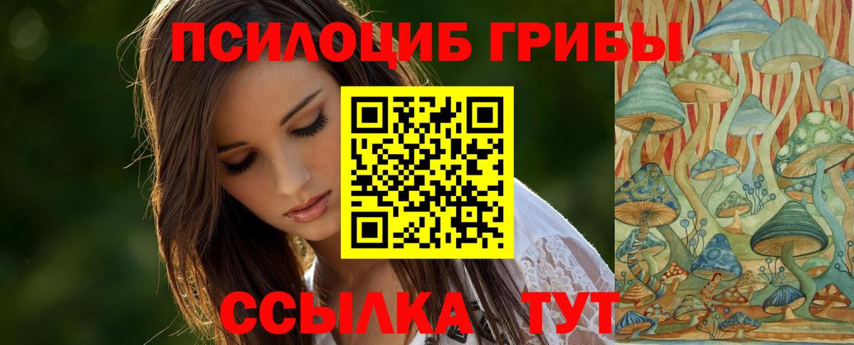 Псилоцибиновые грибы Magic Shrooms Краснознаменск